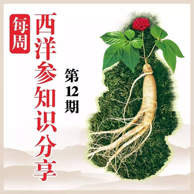 樂陶陶西洋參小知識每日分享(周五合集12) 探索黑參產品的奧秘